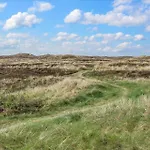 Hébergement de vacances 120-thisted-jorgen-hedes-vej-20 *